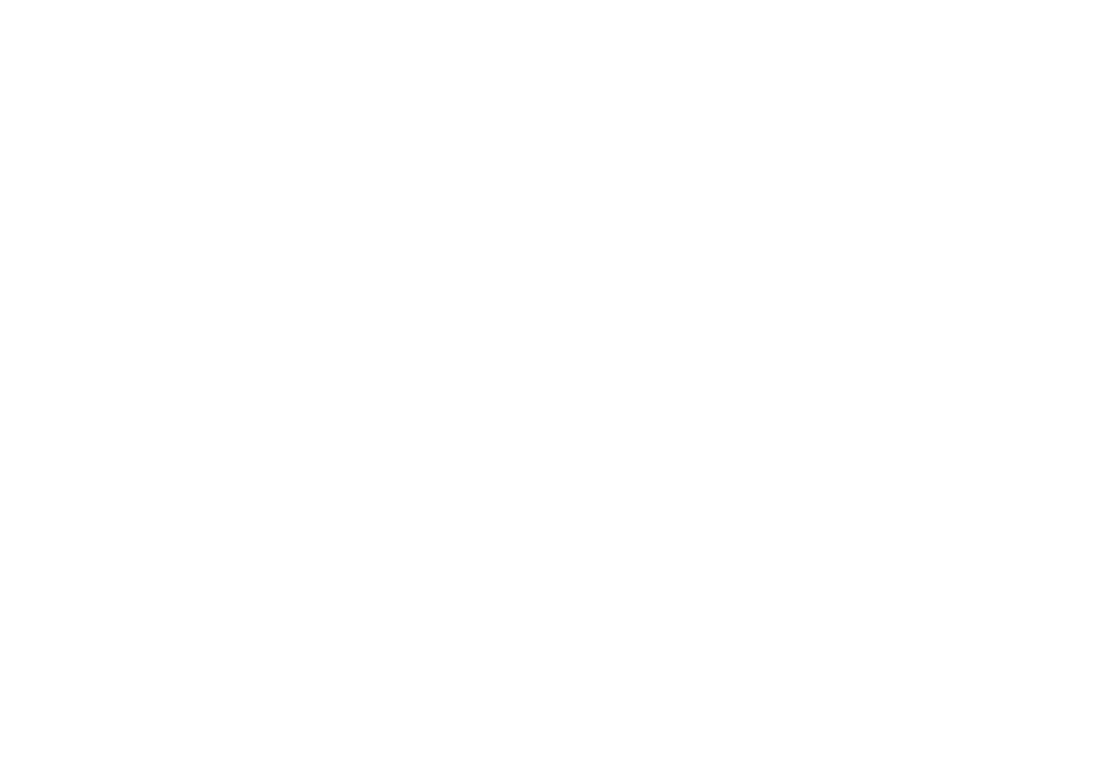Ninja Parcours Logo