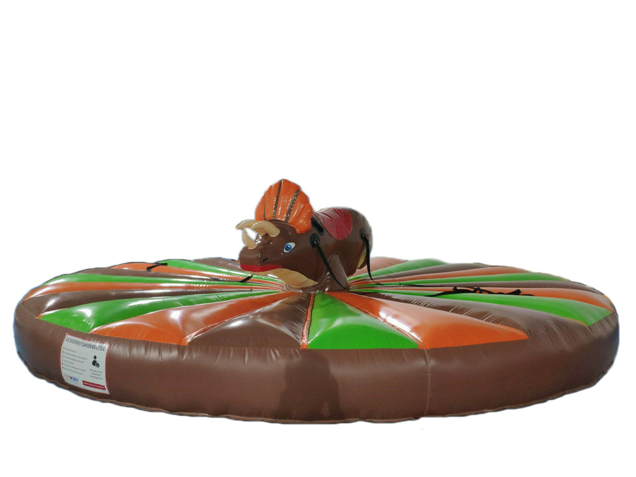 Rodeo-Riding-Anlage